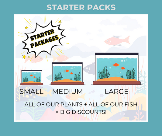 Starter Packages - Plants + Fish
